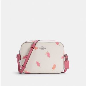 Coach Mini Camera Bag with Popsicle Print